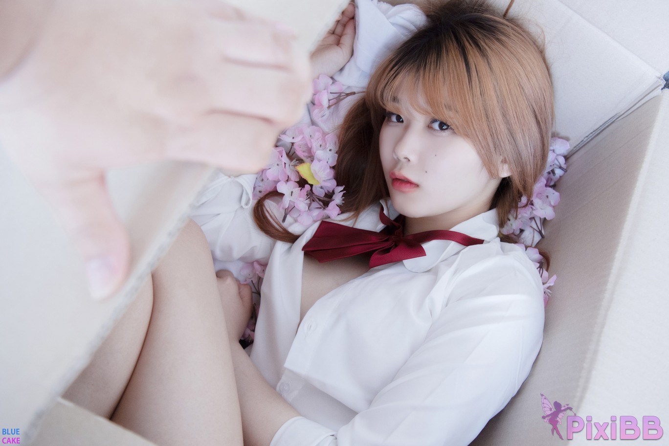 BLUECAKE Zia Your Gift Birthday PixiBB.COM 017