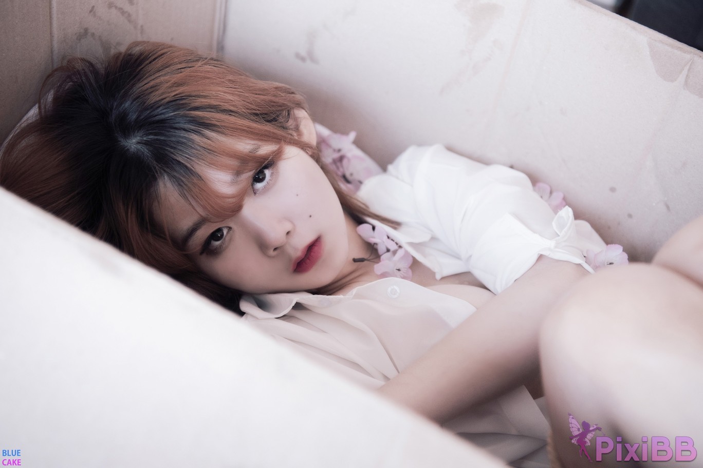 BLUECAKE Zia Your Gift Birthday PixiBB.COM 046